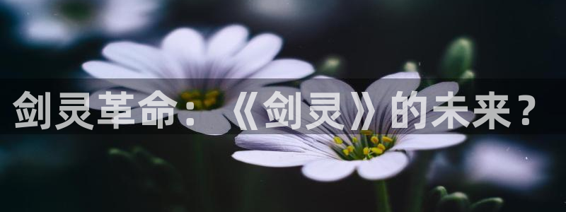 摩根娱乐这个平台怎么样啊知乎：剑灵革命：《剑灵》的未来？