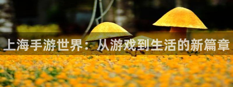 摩根娱乐app下载官网安装苹果：上海手游世界：从游戏到生活的