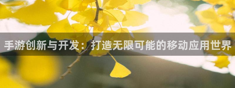 摩根娱乐网址是什么