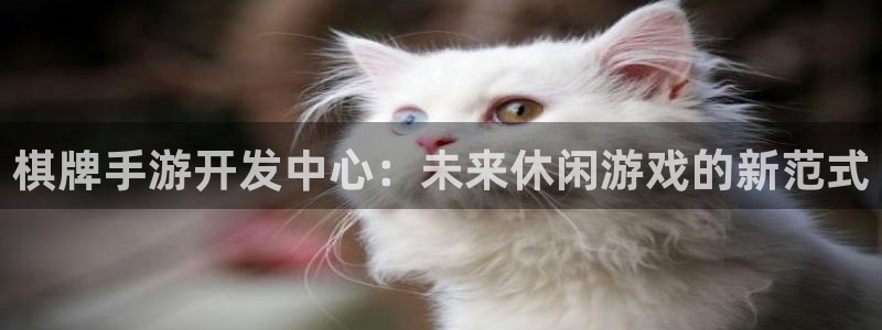 摩根娱乐娱乐官网入口网址：棋牌手游开发中心：未来休闲游戏的新
