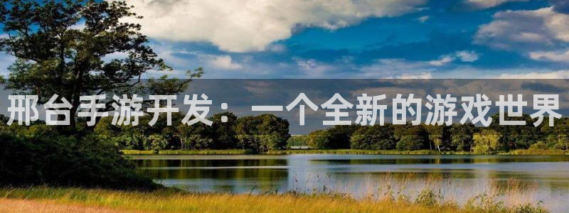 摩根娱乐这个平台怎么样啊赚钱吗：邢台手游开发：一个全新的游戏