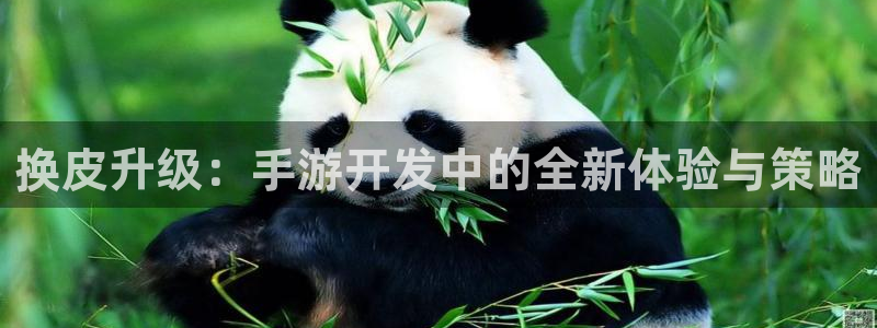 摩根娱乐首页：换皮升级：手游开发中的全新体验与策略