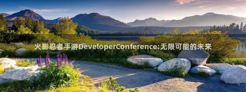 摩根娱乐挂机项目是什么：火影忍者手游DeveloperCon