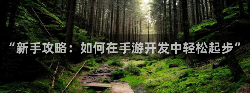 摩根娱乐app下载官网苹果：“新手攻略：如何在手游开发中轻松