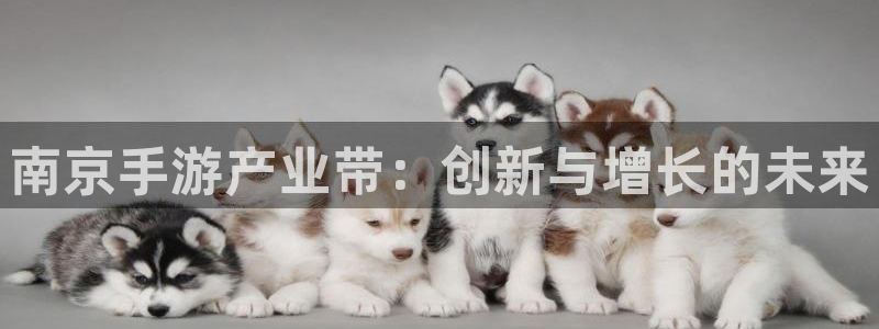 摩根娱乐挂机项目有哪些：南京手游产业带：创新与增长的未来