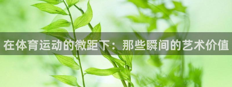 球客岛：在体育运动的微距下：那些瞬间的艺术价值