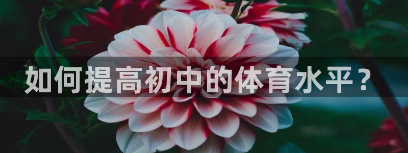 球客岛：如何提高初中的体育水平？