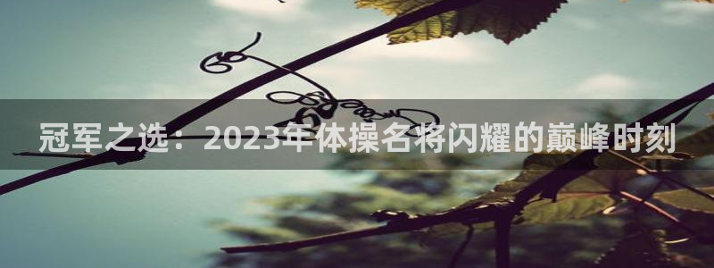 球客岛：冠军之选：2023年体操名将闪耀的巅峰时刻