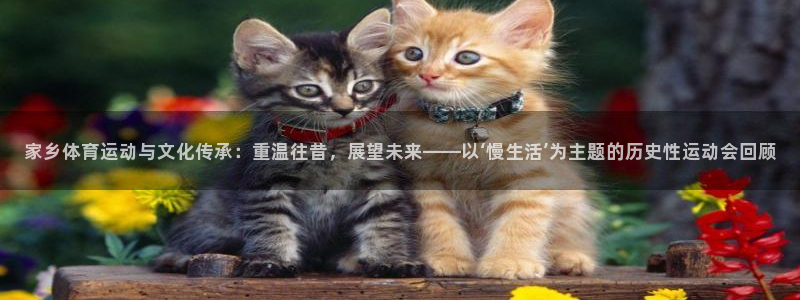 球客岛：家乡体育运动与文化传承：重温往昔，展望未来——以‘慢生活’为主题的历史性运动会回顾