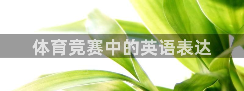 球客岛：体育竞赛中的英语表达