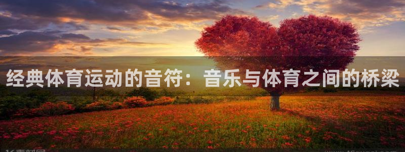 球客岛：经典体育运动的音符：音乐与体育之间的桥梁