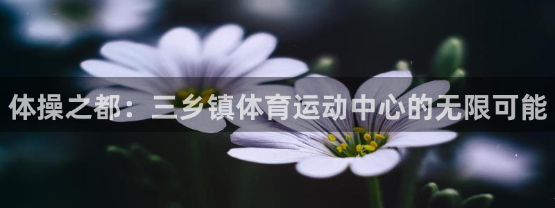 球客岛：体操之都：三乡镇体育运动中心的无限可能