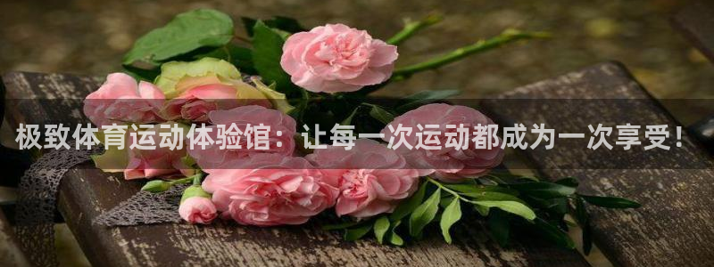 球客岛：极致体育运动体验馆：让每一次运动都成为一次享受！