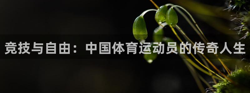球客岛：竞技与自由：中国体育运动员的传奇人生
